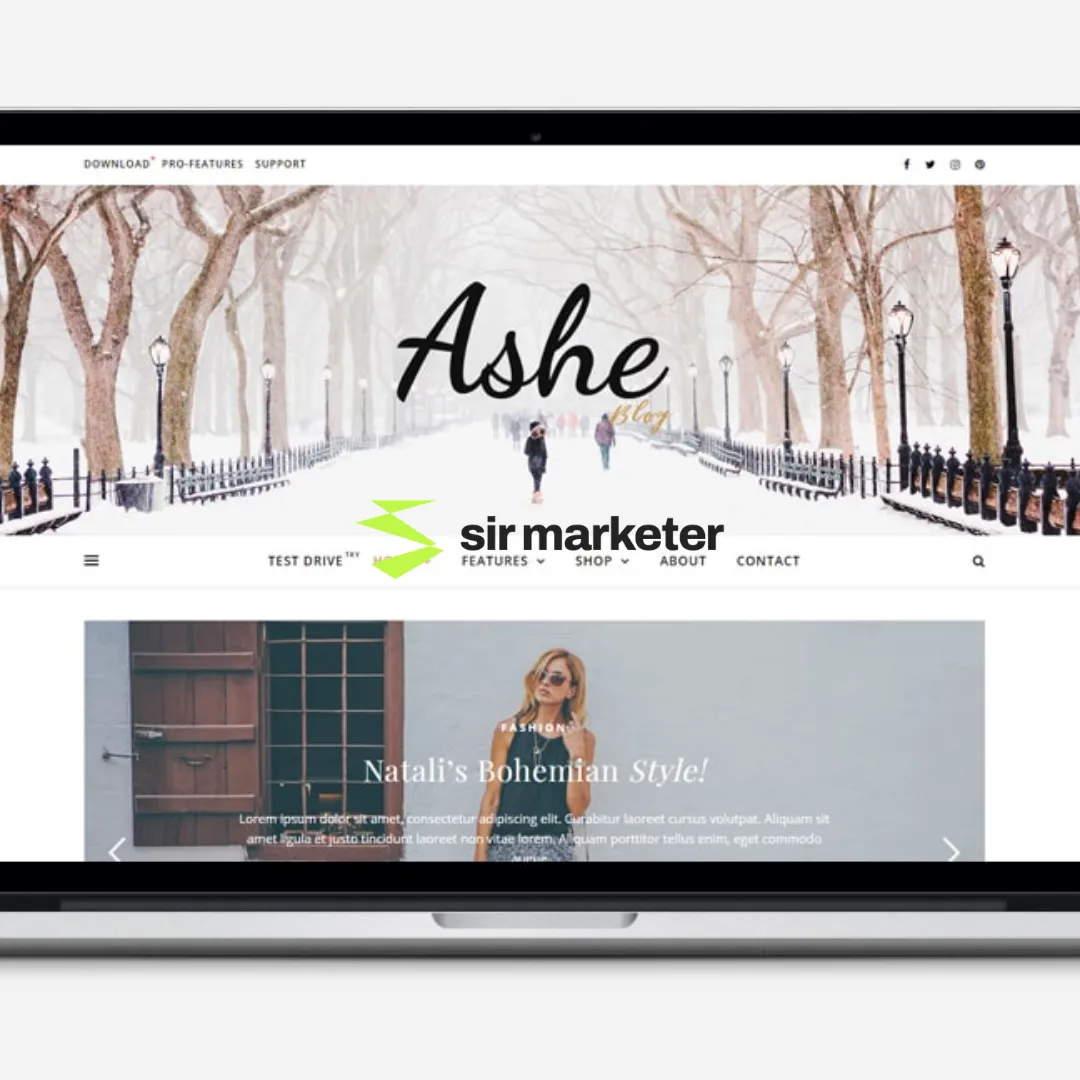 free wordpress themes