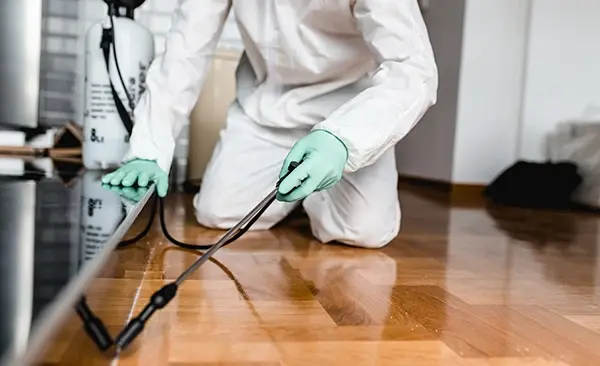 digital marketing for pest control companies (3)